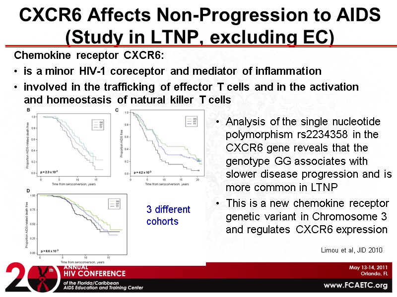 CXCR6 Affects Non-Progression to AIDS (Study in LTNP, excluding EC) Chemokine receptor CXCR6: is